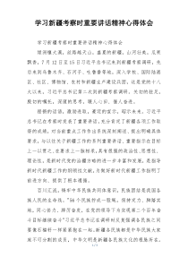 学习新疆考察时重要讲话精神心得体会
