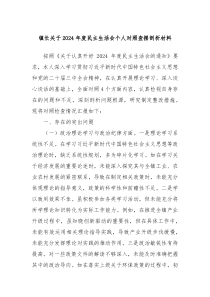 镇长2025年度民主生活会个人对照查摆剖析材料