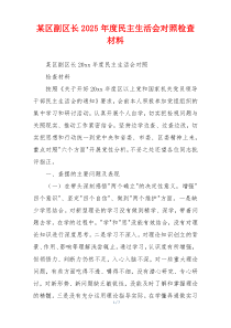 某区副区长2025年度民主生活会对照检查材料