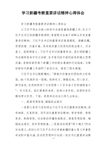 学习新疆考察重要讲话精神心得体会