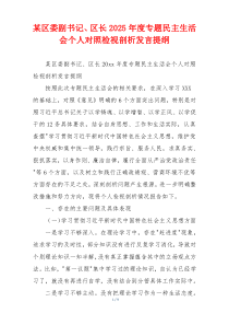 某区委副书记、区长2025年度专题民主生活会个人对照检视剖析发言提纲