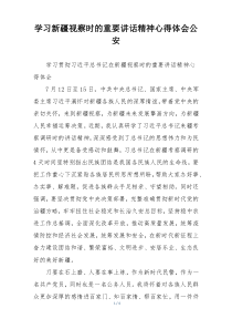 学习新疆视察时的重要讲话精神心得体会公安