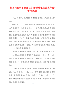 市以县城为重要载体的新型城镇化试点年度工作总结