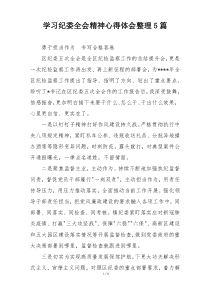 学习纪委全会精神心得体会整理5篇