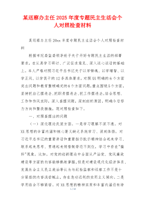 某巡察办主任2025年度专题民主生活会个人对照检查材料