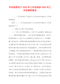 市司法局关于2025年工作总结和2025年工作安排的报告