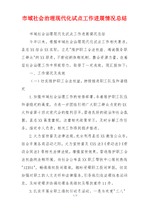市域社会治理现代化试点工作进展情况总结