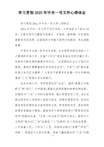 学习贯彻2025年中央一号文件心得体会