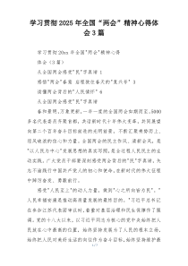 学习贯彻2025年全国“两会”精神心得体会3篇