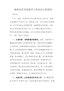 副县长在全县抗旱工作会议上的讲话