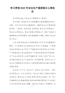 学习贯彻2025年安全生产重要指示心得体会