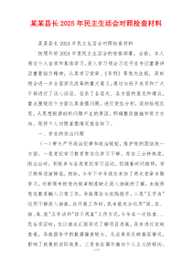 某某县长2025年民主生活会对照检查材料