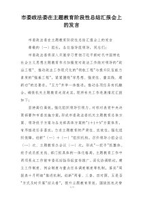 市委政法委在主题教育阶段性总结汇报会上的发言