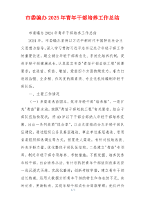 市委编办2025年青年干部培养工作总结