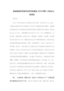 副省级城市市委书记在市安委会2025年第一次会议上的讲话