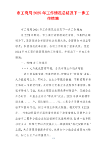市工商局2025年工作情况总结及下一步工作措施