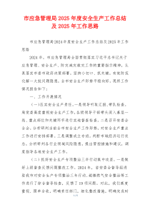 市应急管理局2025年度安全生产工作总结及2025年工作思路