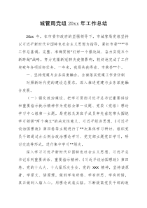 城管局党组20XX年工作总结