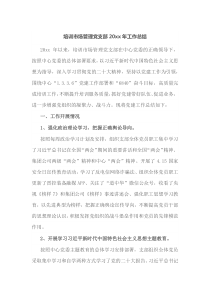 培训市场管理党支部20XX年工作总结