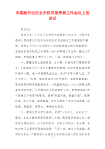 市委副书记在全市防汛指挥部工作会议上的讲话