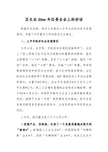 区长在20XX年区委全会上的讲话