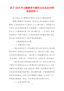 班子2025年主题教育专题民主生活会对照检查材料2