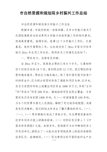 市自然资源和规划局乡村振兴工作总结