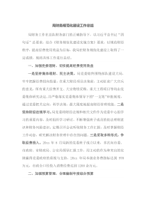 局财务规范化建设工作总结