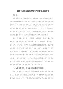 县委书记在全国文明城市冲刺会议上的讲话