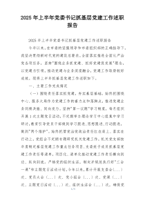 2025年上半年党委书记抓基层党建工作述职报告