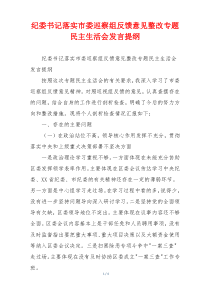 纪委书记落实市委巡察组反馈意见整改专题民主生活会发言提纲
