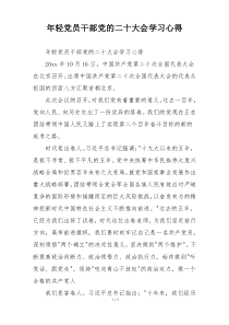 年轻党员干部党的二十大会学习心得