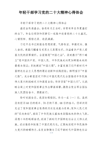 年轻干部学习党的二十大精神心得体会