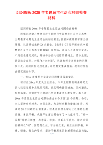 组织部长2025年专题民主生活会对照检查材料