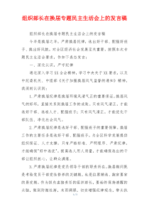 组织部长在换届专题民主生活会上的发言稿