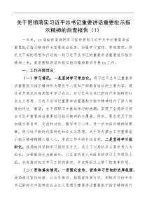 3篇关于贯彻落实重要讲话重要批示指示精神的自查报告工作经验材料