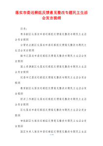 落实市委巡察组反馈意见整改专题民主生活会发言提纲