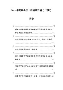 20XX年党组会议上的讲话汇编17篇