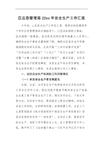 工作总结20XX年安全生产工作汇报范文工作总结报告