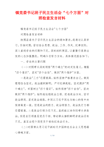 镇党委书记班子民主生活会“七个方面”对照检查发言材料