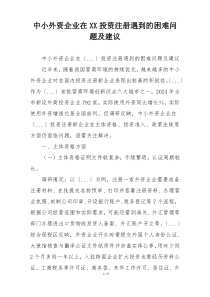 中小外资企业在XX投资注册遇到的困难问题及建议