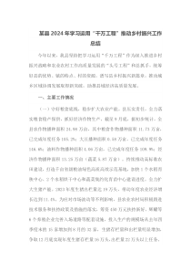 某县2024年学习运用千万工程推动乡村振兴工作总结