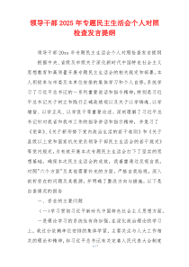 领导干部2025年专题民主生活会个人对照检查发言提纲