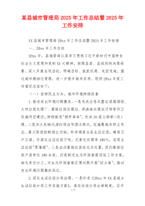 某县城市管理局2025年工作总结暨2025年工作安排