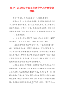 领导干部2025年民主生活会个人对照检查材料