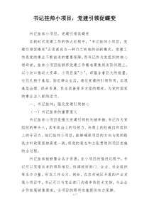 书记挂帅小项目，党建引领促蝶变
