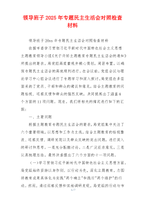 领导班子2025年专题民主生活会对照检查材料