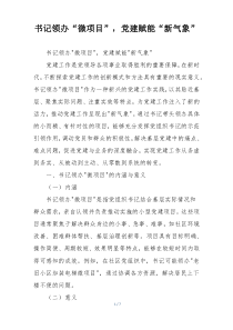 书记领办“微项目”，党建赋能“新气象”