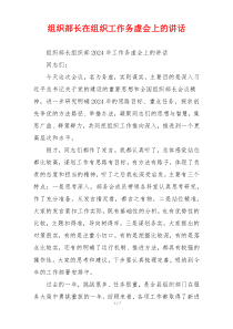 组织部长在组织工作务虚会上的讲话