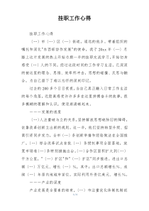 挂职工作心得
